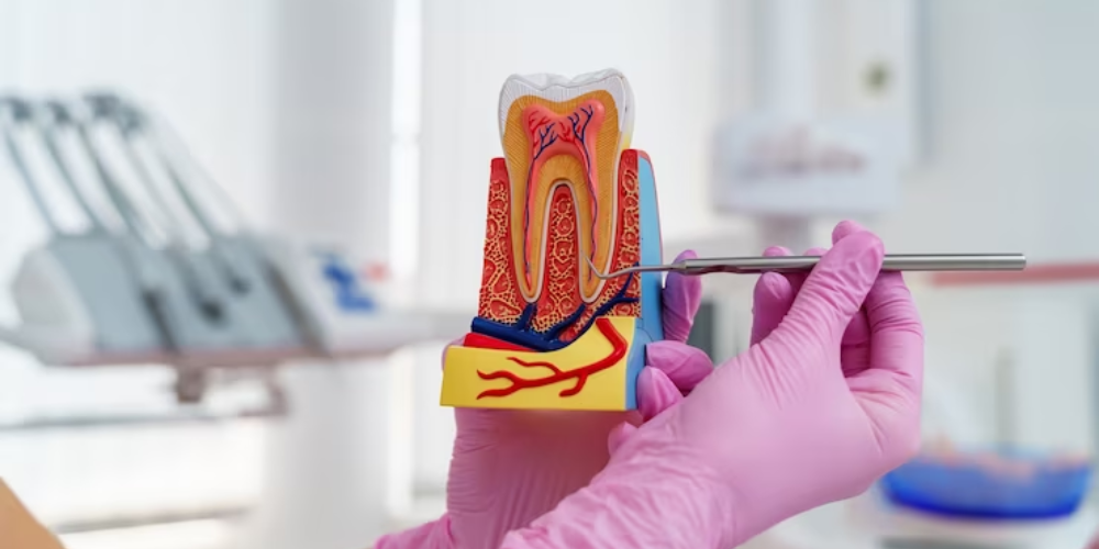 how to care for your tooth after a root canal